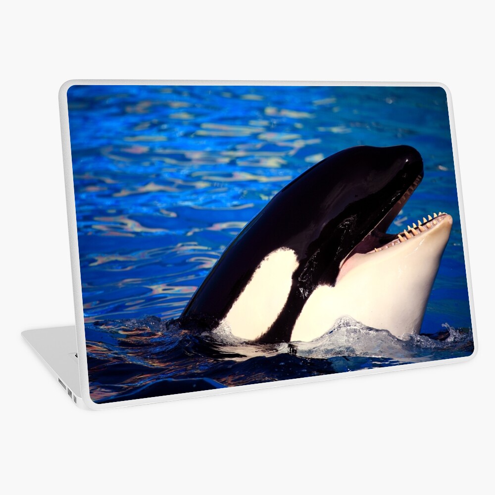 Whale Laptop Bag Vector Flat Animals For Macbook Air Pro Acer Dell