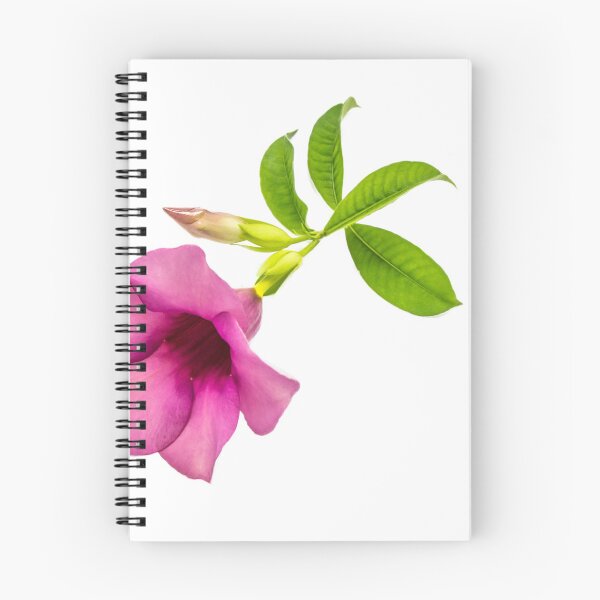 Item preview, Violet allamanda flower, leaves and bud, isolated designed and sold by Kevin Hellon.