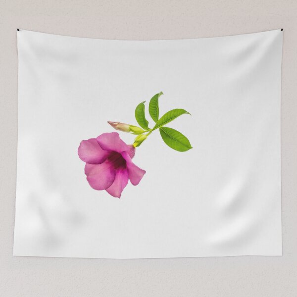 Item preview, Violet allamanda flower, leaves and bud, isolated designed and sold by Kevin Hellon.