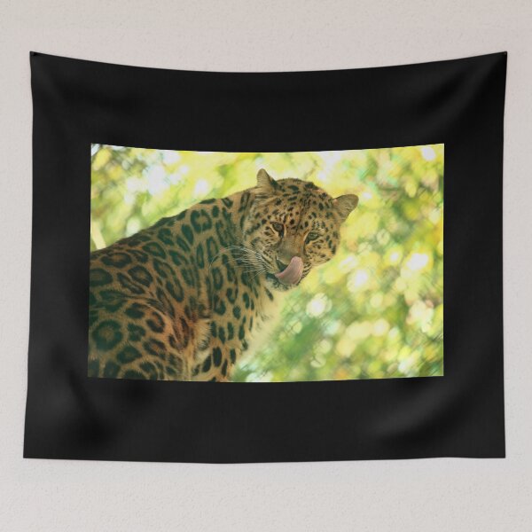 Item preview, Amur Leopard designed and sold by TVD-Photography.