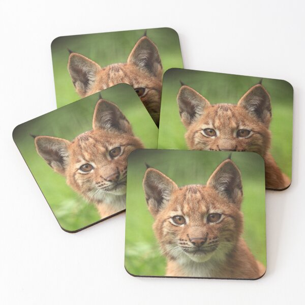 Item preview, Baby Lynx designed and sold by Daniela Pintimalli.