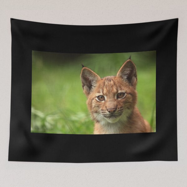 Item preview, Baby Lynx designed and sold by TVD-Photography.