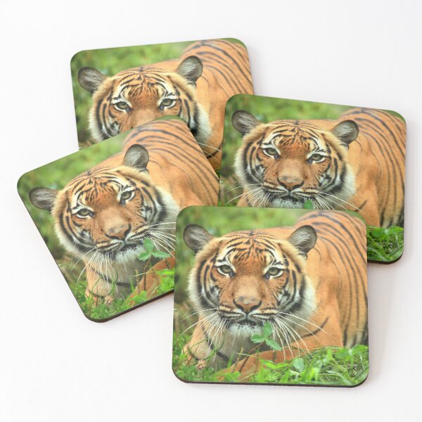 Item preview, Stalking Tigress designed and sold by TVD-Photography.