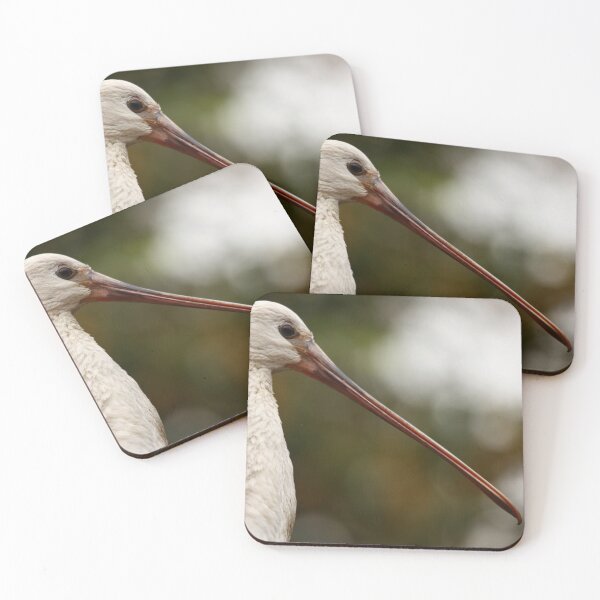 Item preview, Spoonbill designed and sold by TVD-Photography.