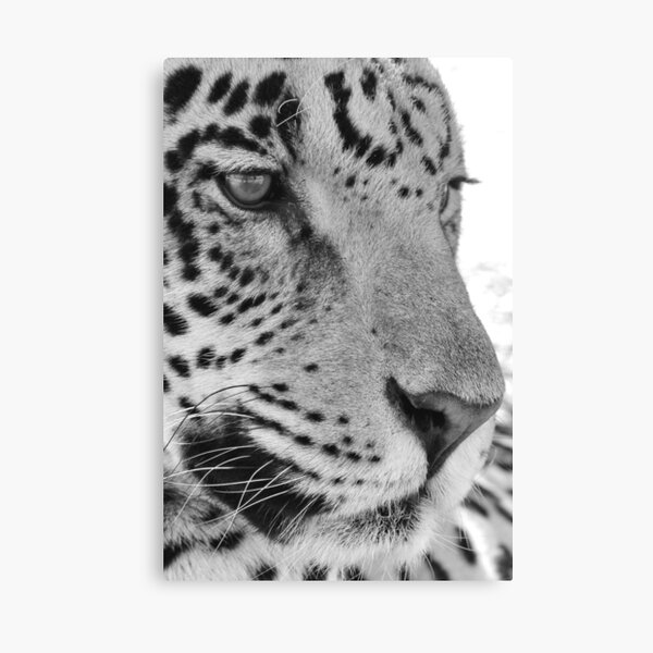 Item preview, Jaguar face in black and white designed and sold by thula.