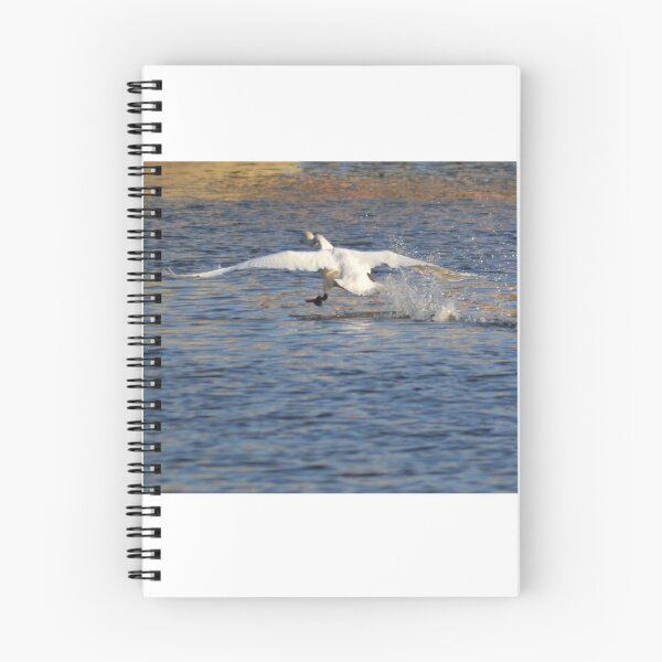 Item preview, We Have Take Off designed and sold by absurdphotos.