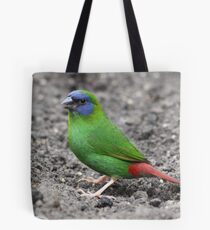 Blue-faced Parrot-finch Tote Bag