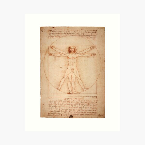 Item preview, Vitruvian Man by Leonardo Da Vinci (1490) designed and sold by allhistory.