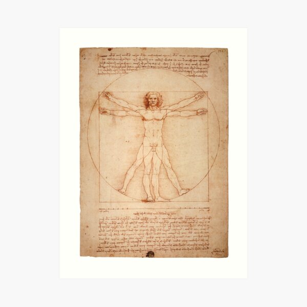 Vitruvian Man by Leonardo Da Vinci (1490) Art Print