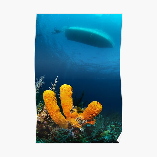 three sponge fingers and a boat Poster