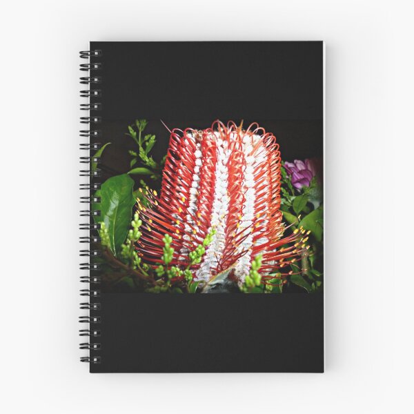Item preview, Beautiful Banksia - The colours of Christmas designed and sold by EdsMum.