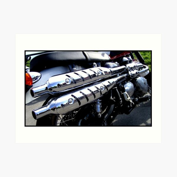 Double Trouble Art Print