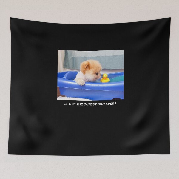 Item preview, Boo Dog: "World Cutest Dog" designed and sold by dcarrera.
