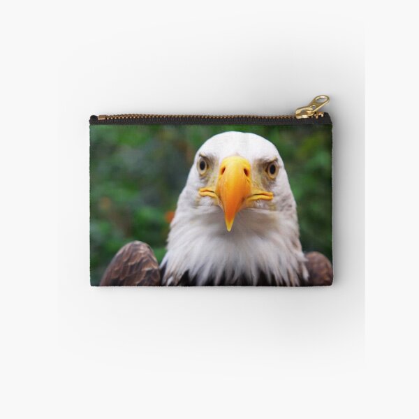 Item preview, Eye to Eye with A Bald Eagle designed and sold by Jo Nijenhuis.