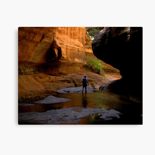 emergent hiker Canvas Print