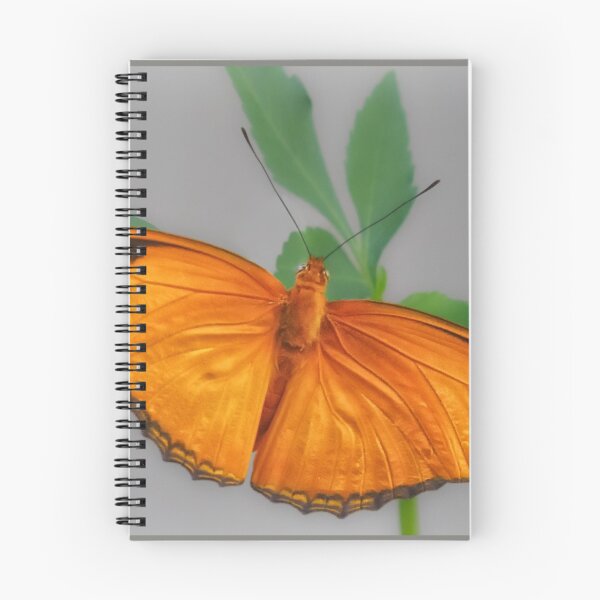 Item preview, Julia Butterfly designed and sold by Owed To Nature.
