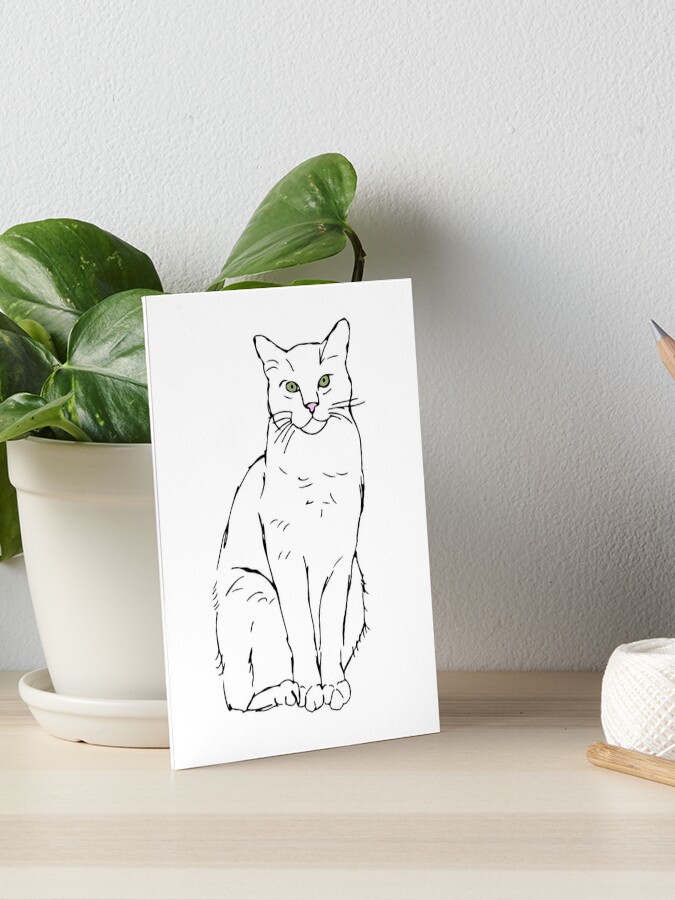 Impression Rigide Chat Blanc Aux Yeux Verts Assis Par Stephaniepeters Redbubble