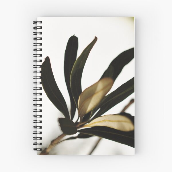 Item preview, Chiaroscuro designed and sold by Karen E Camilleri.