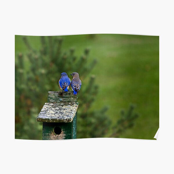 Is This Home Good Enough? Poster