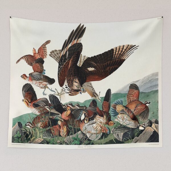 Item preview, BIRDS OF AMERICA-1 designed and sold by Infopreneur123.