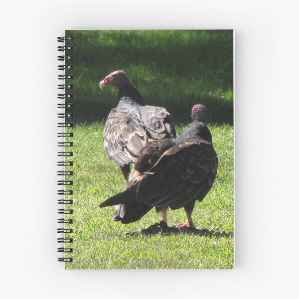 Item preview, Vultures in Canada designed and sold by ArtOfE.