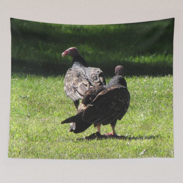 Item preview, Vultures in Canada designed and sold by ArtOfE.