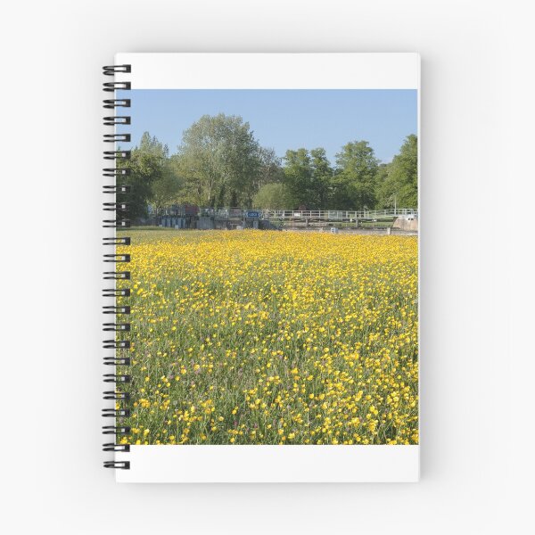 Item preview, Water meadows at Mapledurham lock designed and sold by Jim Hellier.