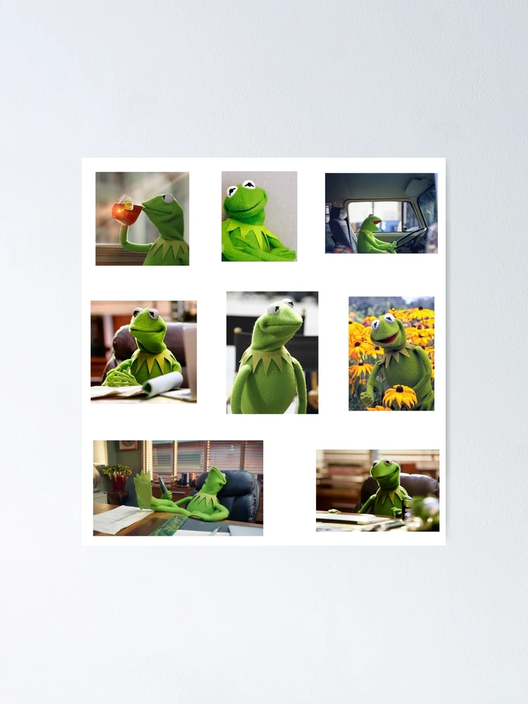 Kermit the frog big pack!