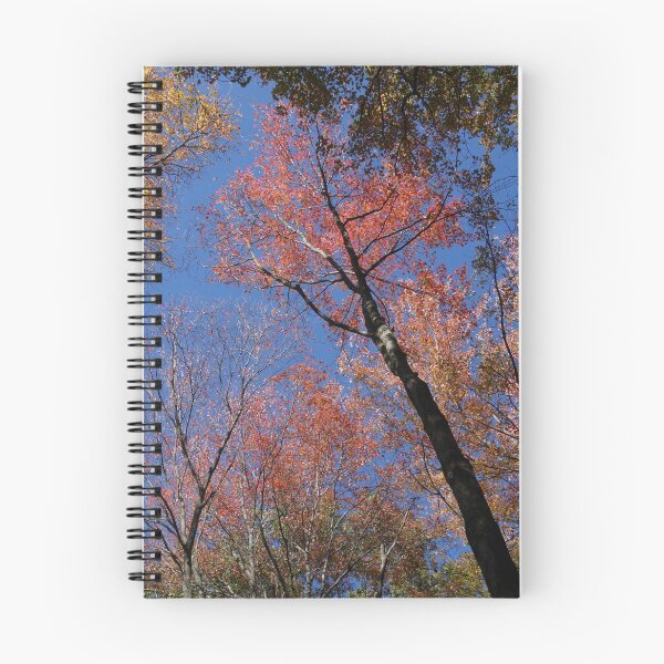 Item preview, New England Foliage Feast designed and sold by Rachel Boucher.