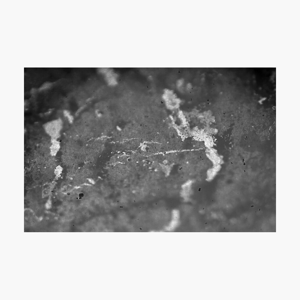 Conceptual #14 Photographic Print
