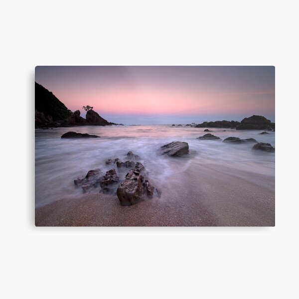 Onemana Scenic Reserve Metal Print