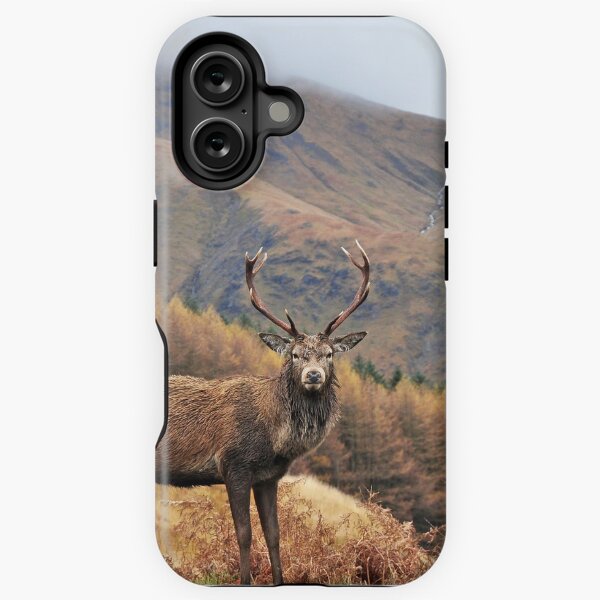 Item preview, Monarch of the Glen designed and sold by paula smith.