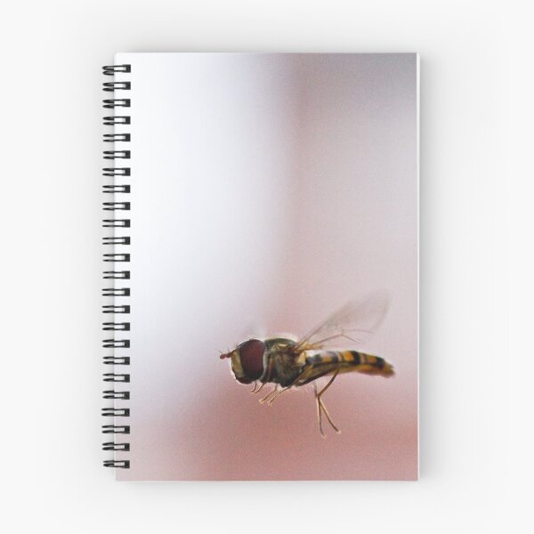Item preview, The gnat designed and sold by gymstedhead.