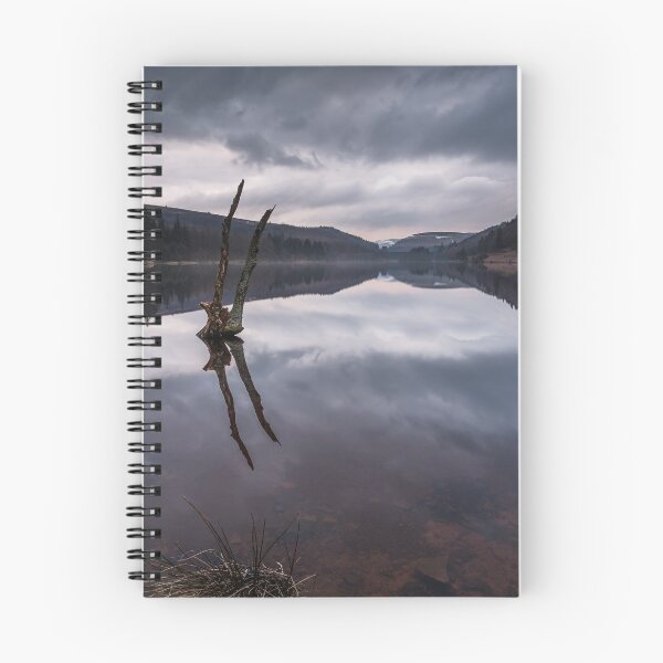 Item preview, Broken Tree on Derwent Reservoir designed and sold by Angie Morton.