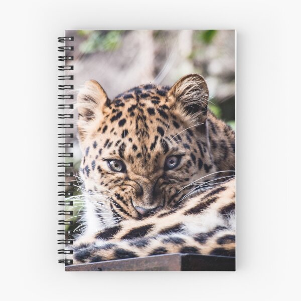 Item preview, Leopard Growling designed and sold by darbyward.