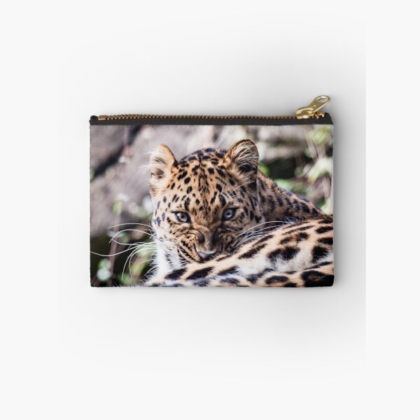 Item preview, Leopard Growling designed and sold by darbyward.