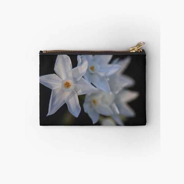 Item preview, Paperwhite  designed and sold by Joy Watson - Natural Light Photography .