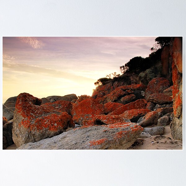 Item preview, Natural Art designed and sold by Stephen Ruane.