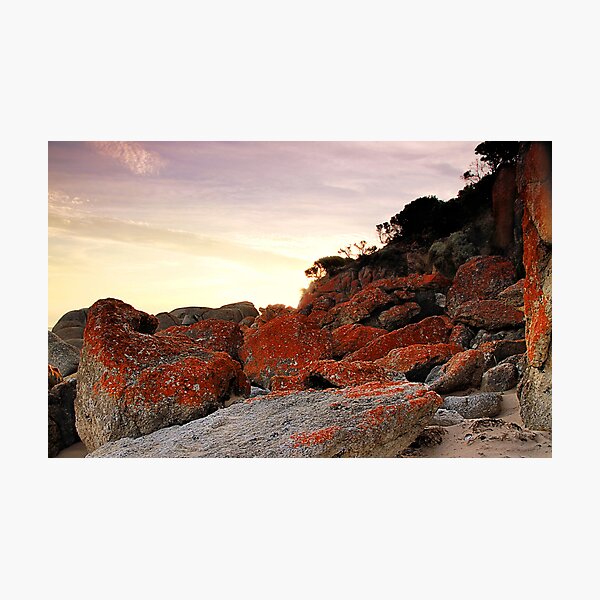 Item preview, Natural Art designed and sold by Stephen Ruane.