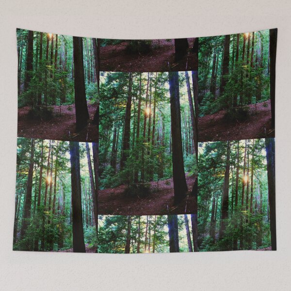Artikelvorschau, Redwoods in Wunderlich Park, San Fancisco Bay area 2010 entworfen und verkauft von Igor Pozdnyakov.