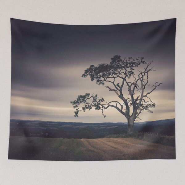 Item preview, Tree, Muthill designed and sold by ShinyPhoto.