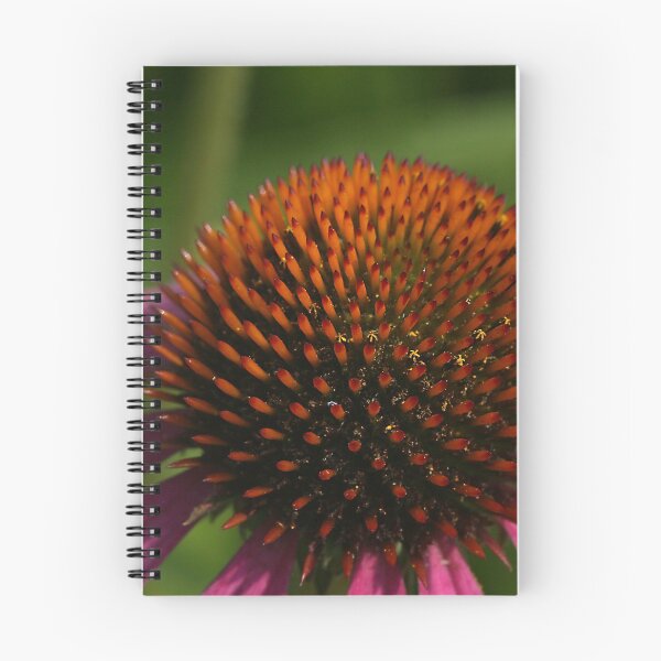 Item preview, Echinacea designed and sold by janephotography.