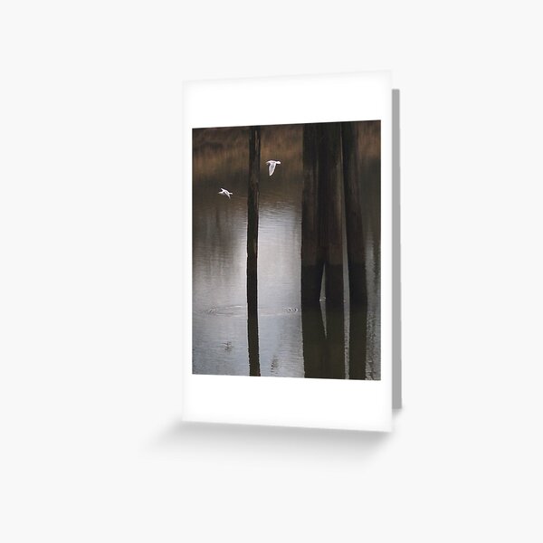 Freedom to Fly Greeting Card