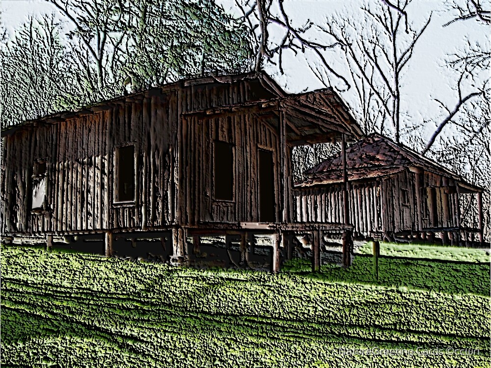 « Rush Arkansas, The » par NatureGreeting Cards ©ccwri