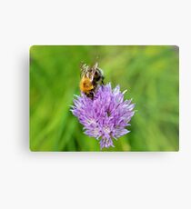 Bee & Chives Metal Print