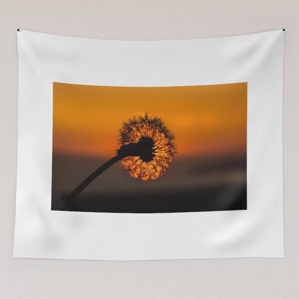 Item preview, Dandelion Sunset designed and sold by DafyddEm.