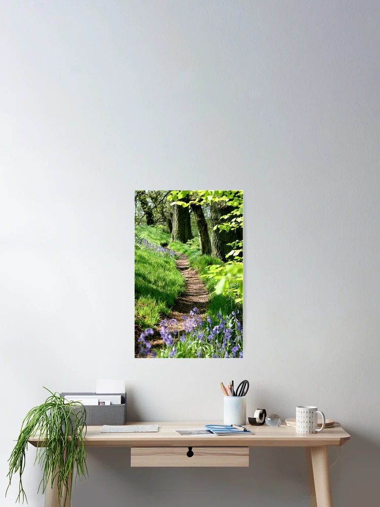 Thumbnail 2 of 3, Poster, Spring path designed and sold by John Keates.