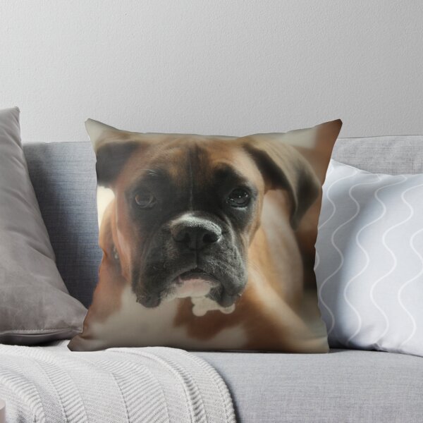 Item preview, Face Of Innocence ~ Boxer Dog Series designed and sold by Evita.