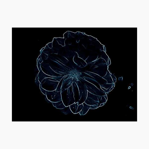 Artikelvorschau, Blaue Blume mitten in der Nacht entworfen und verkauft von MissBeloved.