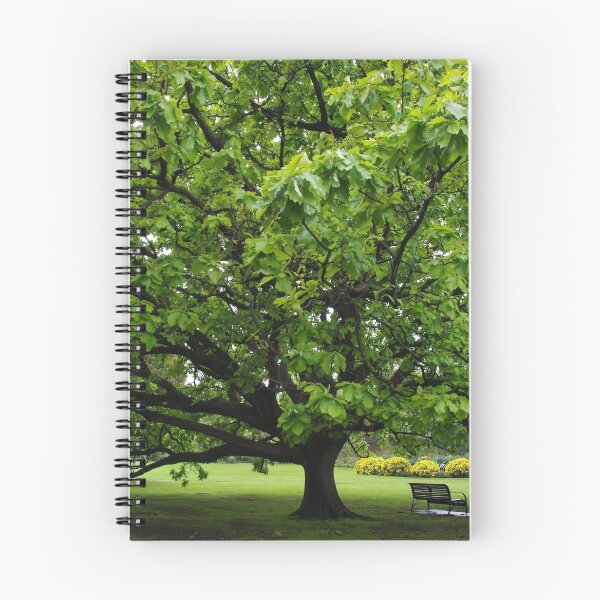Item preview, Park Tree designed and sold by lezvee.